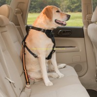 Experienced Manufacturer Outdoor Car Seat Dog Safety Fixed Single Belt